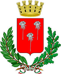 Comune di Fiorenzuola d'Arda Comune di Fiorenzuola d'Arda
