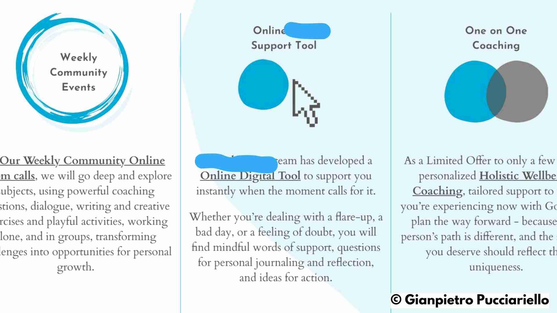 Gianpietro Pucciariello, Gout, Arthritis, Project Gianpietro Pucciariello, Gout, Arthritis, Project